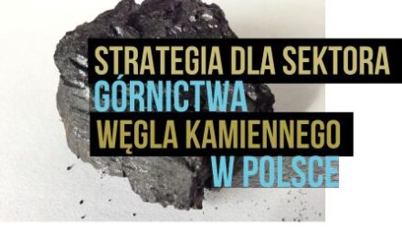 Z prac nad programem dla sektora górnictwa węgla kamiennego