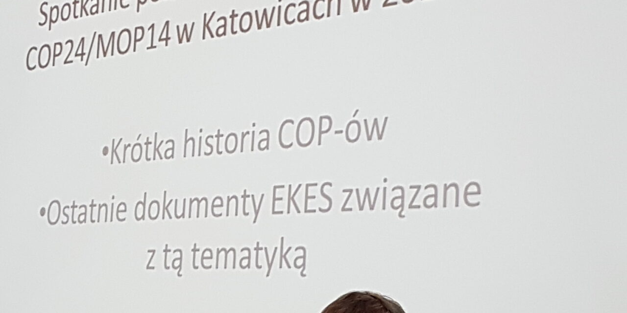 Spotkanie członków EKES w Katowicach